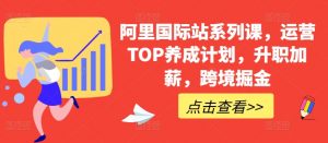 阿里国际站系列课，运营TOP养成计划，升职加薪，跨境掘金|淘骐网赚资源库