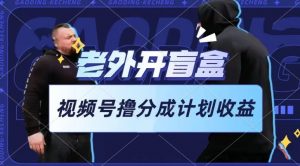 老外开盲盒视频，撸视频号分成计划收益，每天只需一小时，新手小白轻松上手【揭秘】|淘骐网赚资源库