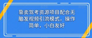 靠卖驾考资源项目配合无脑发视频引流模式，操作简单，小白友好【揭秘】|淘骐网赚资源库