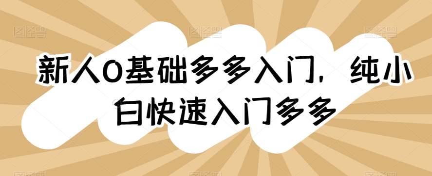 新人0基础多多入门,纯小白快速入门多多|淘骐网赚资源库