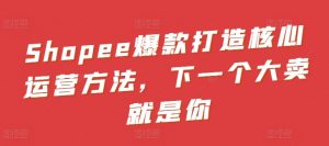 Shopee爆款打造核心运营方法，下一个大卖就是你|淘骐网赚资源库