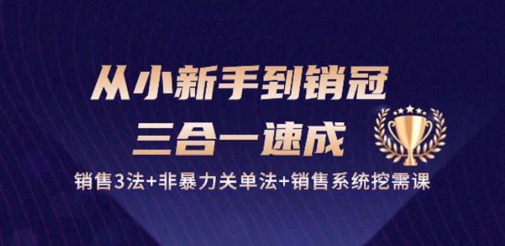 从小新手到销冠 三合一速成：销售3法+非暴力关单法+销售系统挖需课 (27节)|淘骐网赚资源库