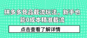 拼多多竞品截流玩法,新手也能0成本精准截流|淘骐网赚资源库
