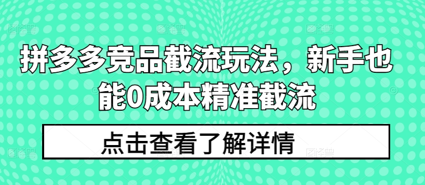 拼多多竞品截流玩法,新手也能0成本精准截流|淘骐网赚资源库