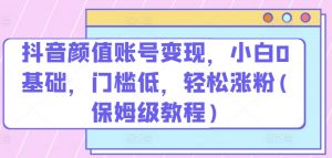 抖音颜值账号变现，小白0基础，门槛低，​轻松涨粉(保姆级教程)【揭秘】|淘骐网赚资源库