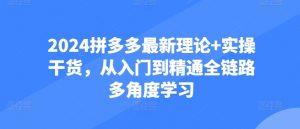 2024拼多多最新理论+实操干货，从入门到精通全链路多角度学习|淘骐网赚资源库