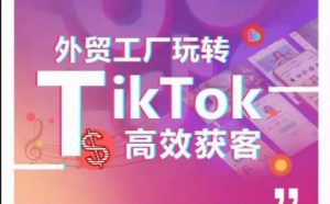 外贸工厂玩转TikTok高效获客,多种引流方式与账号定位技巧,拆解爆款短视频打造成功案例|淘骐网赚资源库