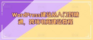 WordPress建站从入门到精通,跨境电商建站教程|淘骐网赚资源库