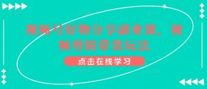 视频号好物分享副业课,视频剪辑带货玩法|淘骐网赚资源库