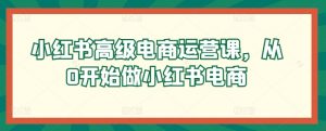 小红书高级电商运营课,从0开始做小红书电商|淘骐网赚资源库