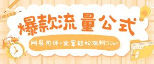 爆款流量公式，网易热评+文案轻松涨粉50w+【揭秘】|淘骐网赚资源库