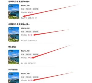 磁力聚星游戏副业陪跑训练营1.0，长期稳定项目，有人一周干了1K+|淘骐网赚资源库