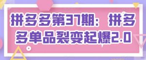 拼多多第37期：拼多多单品裂变起爆2.0|淘骐网赚资源库