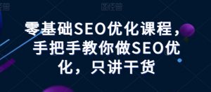 零基础SEO优化课程，手把手教你做SEO优化，只讲干货|淘骐网赚资源库
