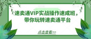 速卖通VIP实战操作速成班，带你玩转速卖通平台|淘骐网赚资源库