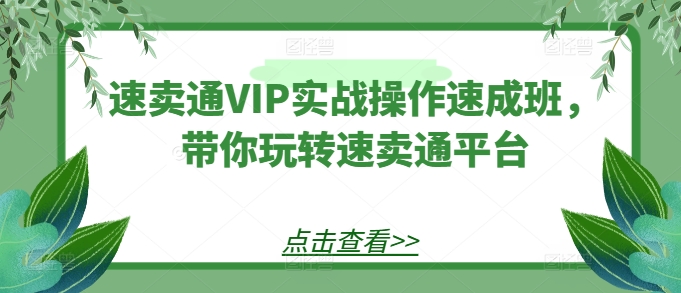 速卖通VIP实战操作速成班，带你玩转速卖通平台|淘骐网赚资源库
