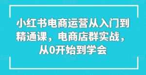 小红书电商运营从入门到精通课，电商店群实战，从0开始到学会|淘骐网赚资源库