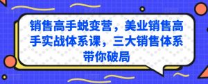 销售高手蜕变营，美业销售高手实战体系课，三大销售体系带你破局|淘骐网赚资源库