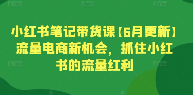 小红书笔记带货课【6月更新】流量电商新机会,抓住小红书的流量红利|淘骐网赚资源库