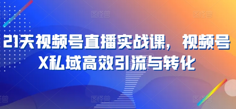 21天视频号直播实战课，视频号X私域高效引流与转化|淘骐网赚资源库