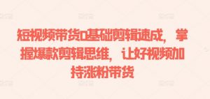 短视频带货0基础剪辑速成，掌握爆款剪辑思维，让好视频加持涨粉带货|淘骐网赚资源库
