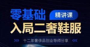 零基础入局二奢鞋服精讲课,十二年奢侈品创业导师分享|淘骐网赚资源库