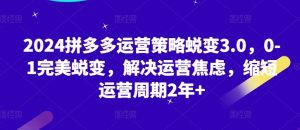 2024拼多多运营策略蜕变3.0，0-1完美蜕变，解决运营焦虑，缩短运营周期2年+|淘骐网赚资源库