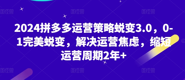 2024拼多多运营策略蜕变3.0,0-1完美蜕变,解决运营焦虑,缩短运营周期2年+|淘骐网赚资源库