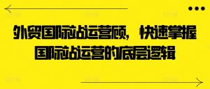 外贸国际站运营顾问,快速掌握国际站运营的底层逻辑|淘骐网赚资源库