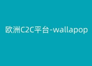 欧洲C2C平台-wallapop-kim跨境电商教程|淘骐网赚资源库