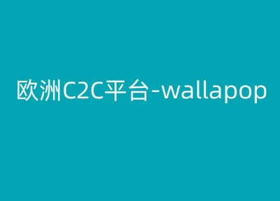 欧洲C2C平台-wallapop-kim跨境电商教程|淘骐网赚资源库