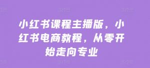 小红书课程主播版,小红书电商教程,从零开始走向专业|淘骐网赚资源库