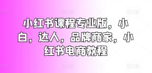小红书课程专业版，小白，达人，品牌商家，小红书电商教程|淘骐网赚资源库