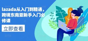 lazada从入门到精通,跨境东南亚新手入门必修课|淘骐网赚资源库