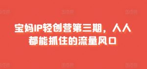 宝妈IP轻创营第三期,人人都能抓住的流量风口|淘骐网赚资源库