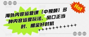 海外内容运营课【中视频】多种内容运营玩法,风口正当时,掘金好时机|淘骐网赚资源库