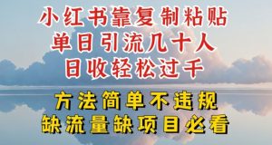 小红书靠复制粘贴单日引流几十人目收轻松过千,方法简单不违规【揭秘】|淘骐网赚资源库