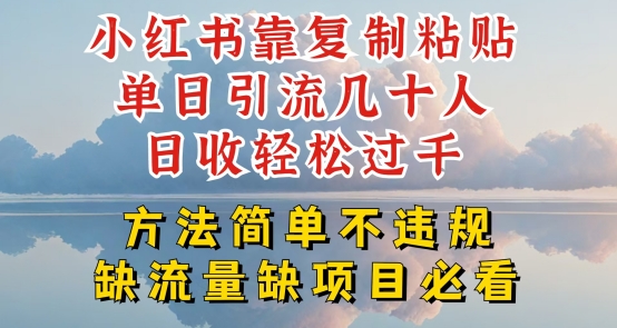 小红书靠复制粘贴单日引流几十人目收轻松过千,方法简单不违规【揭秘】|淘骐网赚资源库