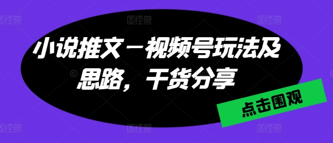 小说推文—视频号玩法及思路，干货分享|淘骐网赚资源库