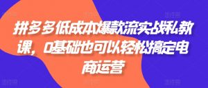 拼多多低成本爆款流实战私教课,0基础也可以轻松搞定电商运营|淘骐网赚资源库