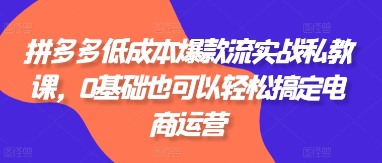 拼多多低成本爆款流实战私教课,0基础也可以轻松搞定电商运营|淘骐网赚资源库