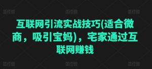 互联网引流实战技巧(适合微商,吸引宝妈),宅家通过互联网赚钱|淘骐网赚资源库