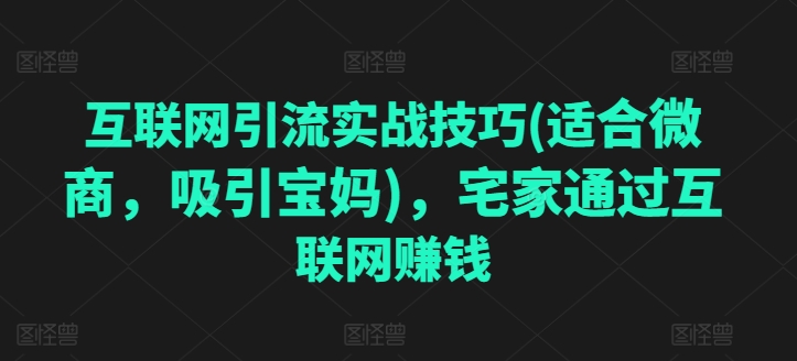 互联网引流实战技巧(适合微商,吸引宝妈),宅家通过互联网赚钱|淘骐网赚资源库