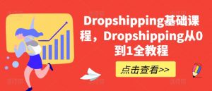 Dropshipping基础课程，Dropshipping从0到1全教程|淘骐网赚资源库