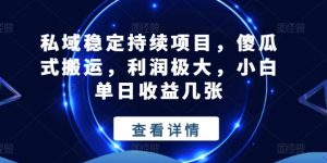 私域稳定持续项目，傻瓜式搬运，利润极大，小白单日收益几张【揭秘】|淘骐网赚资源库