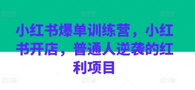 小红书爆单训练营,小红书开店,普通人逆袭的红利项目|淘骐网赚资源库