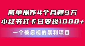 简单操作4个月赚9w，小红书打卡日变现1k，一个被忽视的暴力项目【揭秘】|淘骐网赚资源库