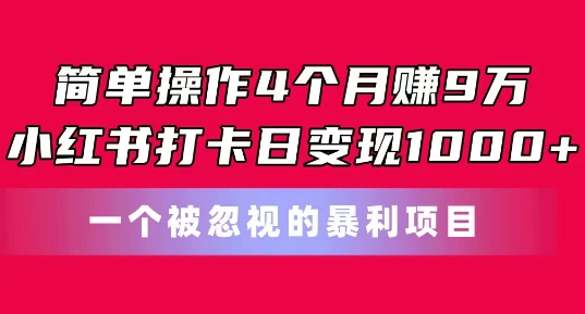 简单操作4个月赚9w，小红书打卡日变现1k，一个被忽视的暴力项目【揭秘】|淘骐网赚资源库