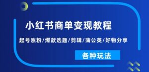 小红书商单变现教程:起号涨粉/爆款选题/剪辑/蒲公英/好物分享/各种玩法|淘骐网赚资源库