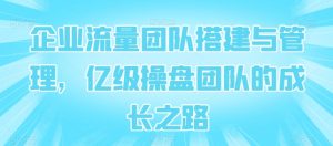 企业流量团队搭建与管理,亿级操盘团队的成长之路|淘骐网赚资源库
